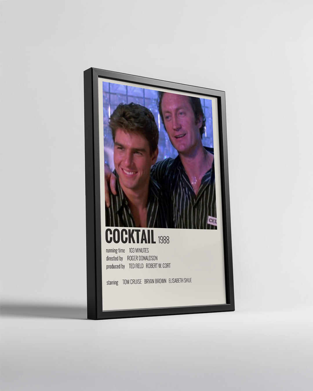 Cocktail Poster Tablosu