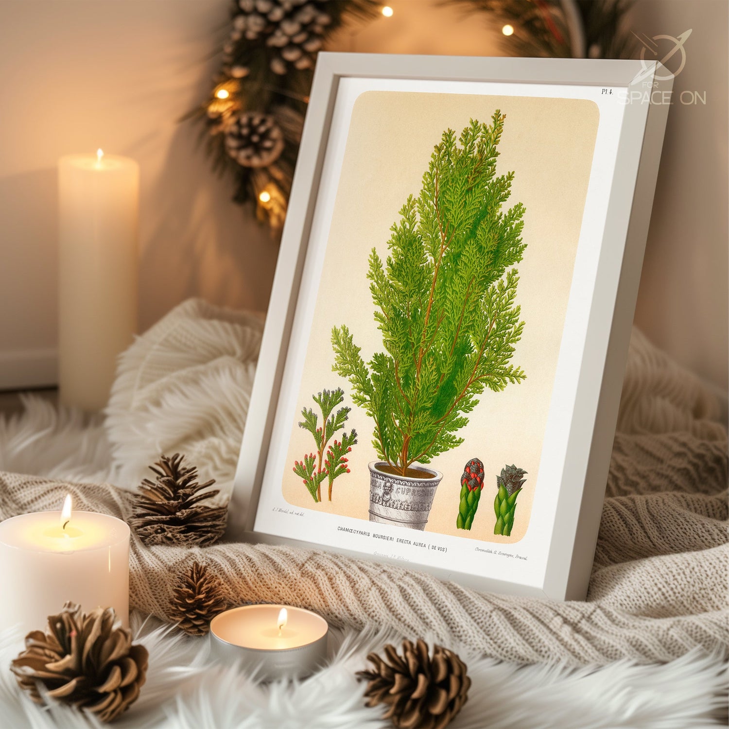 Jolly Saint Nicholas Poster Tablosu