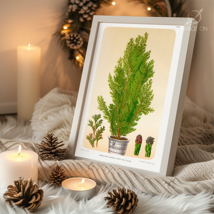 Jolly Saint Nicholas Poster Tablosu