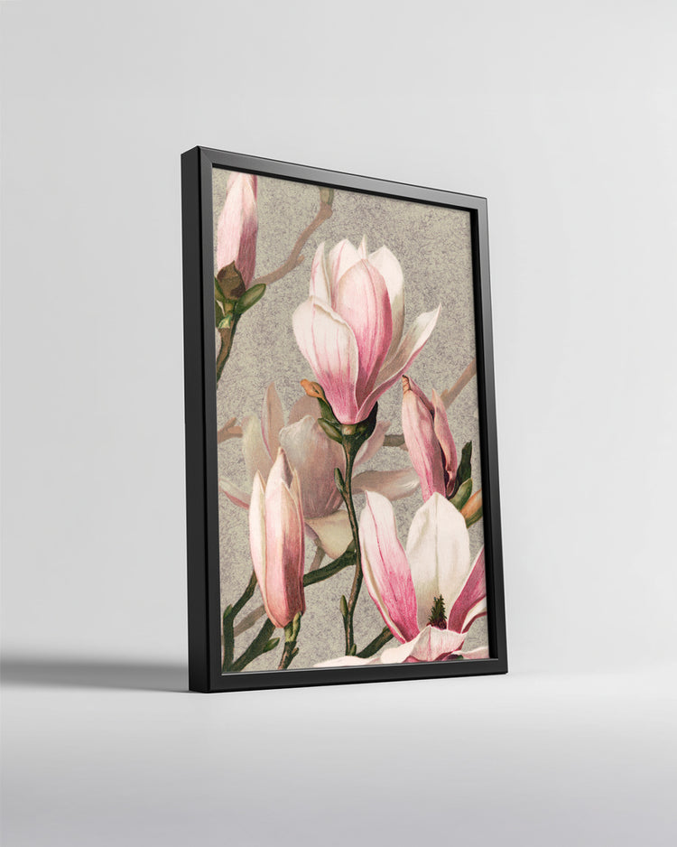 Pink Magnolia Poster Tablosu