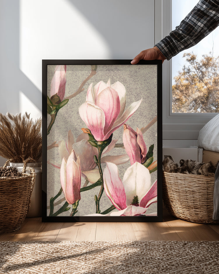 Pink Magnolia Poster Tablosu