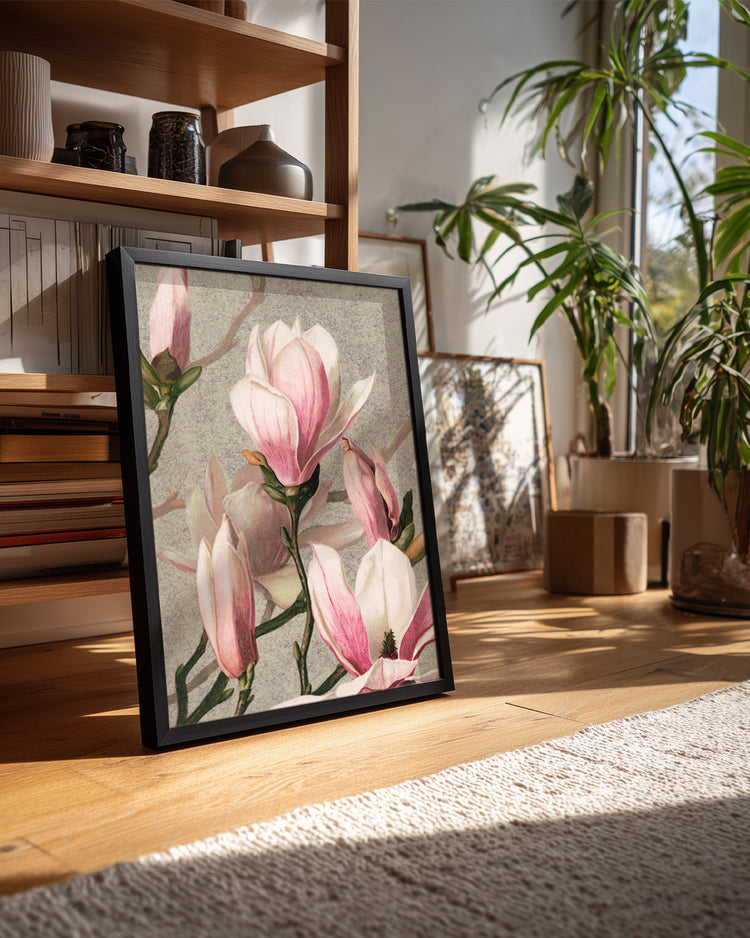 Pink Magnolia Poster Tablosu