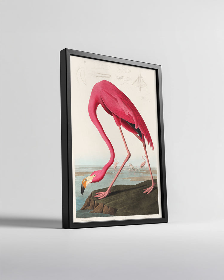 Pink Neck Poster Tablosu