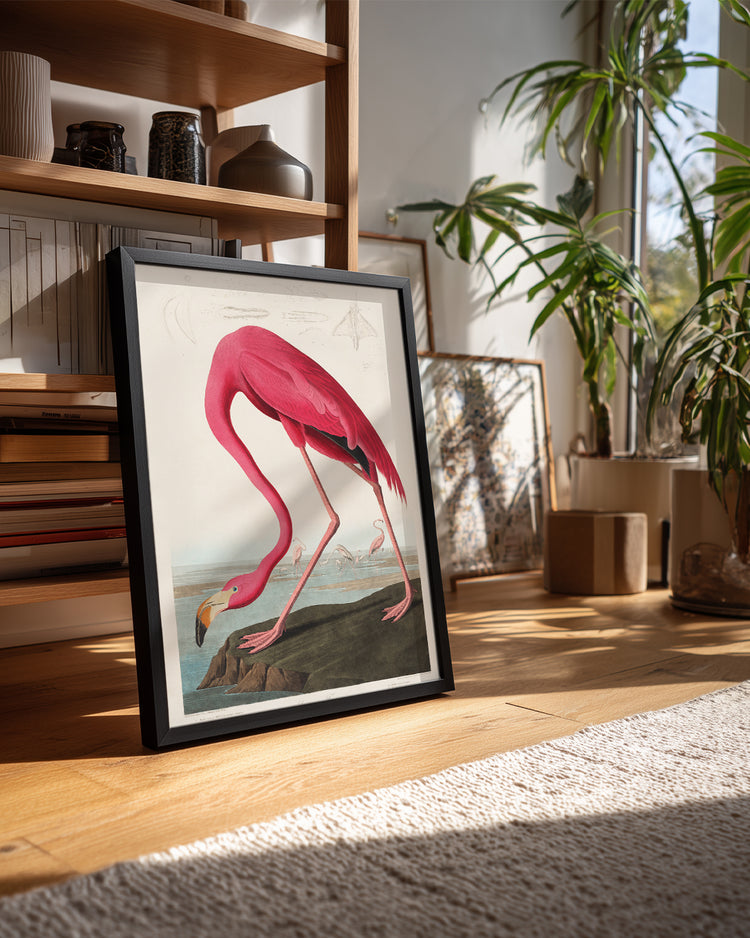 Pink Neck Poster Tablosu