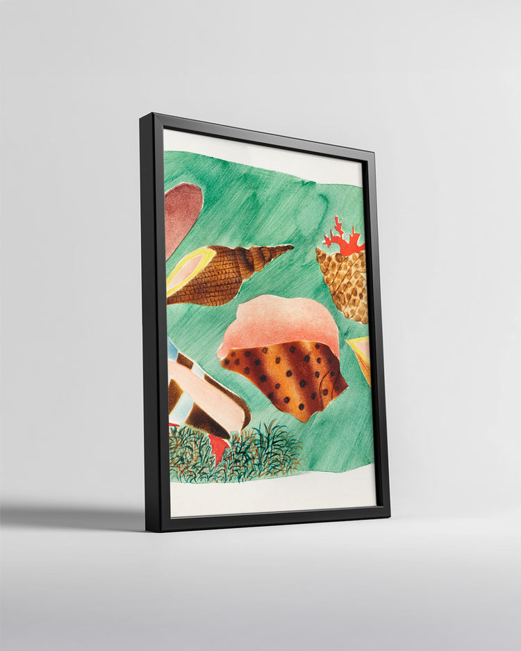 Sea Shells Poster Tablosu