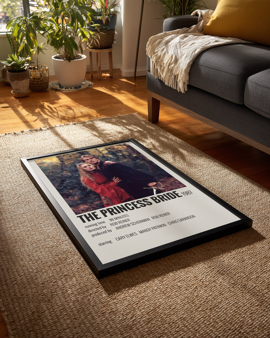 The Princess Bride Poster Tablosu