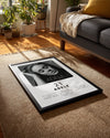 21 - Adele Poster Tablosu