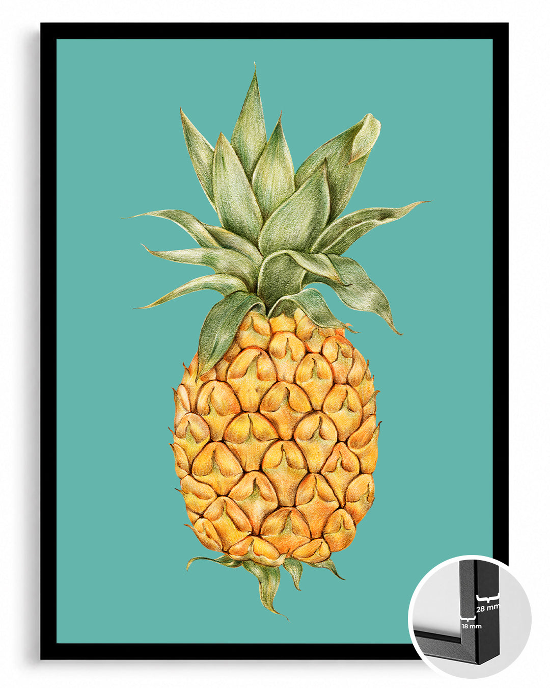Ananas Eskizi - Turkuaz Zeminli Çizim Poster Tablosu