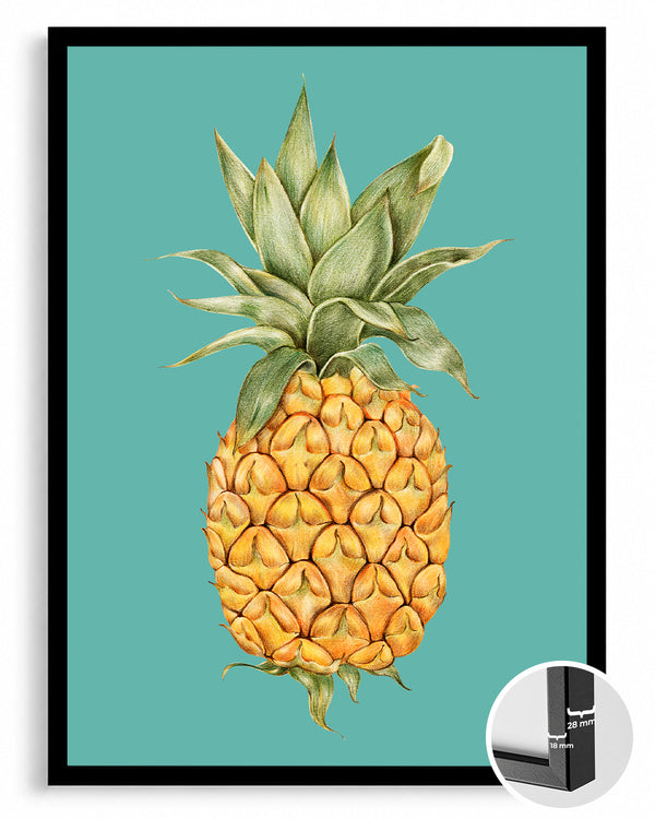 Ananas Eskizi - Turkuaz Zeminli Çizim Poster Tablosu