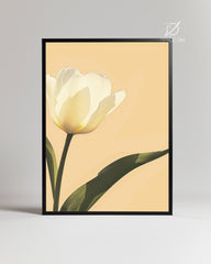 Aube Tulip Poster Tablosu
