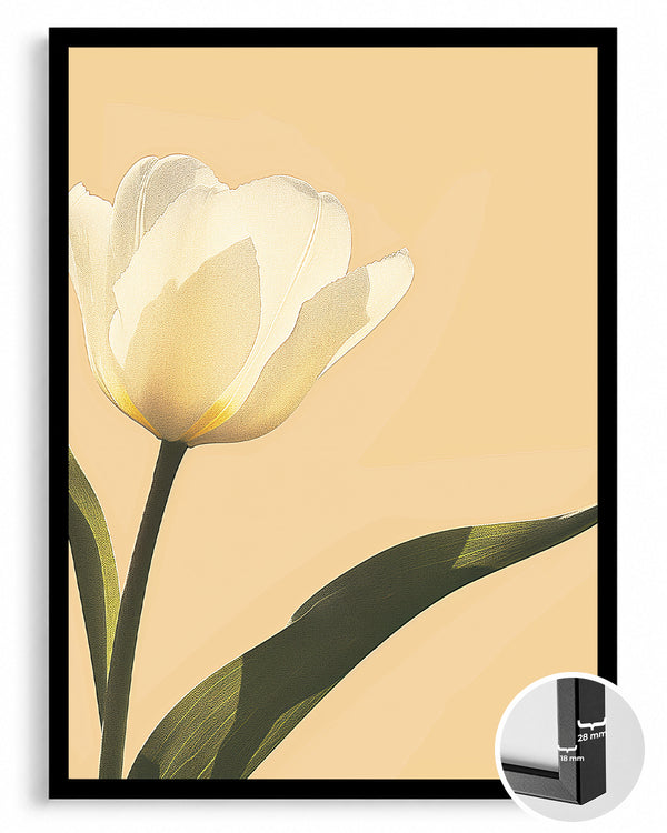 Aube Tulip Poster Tablosu