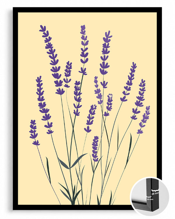 Aura Violette Poster Tablosu