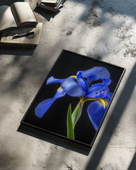 Azure Noir Poster Tablosu