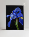 Azure Noir Poster Tablosu
