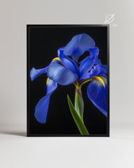 Azure Noir Poster Tablosu