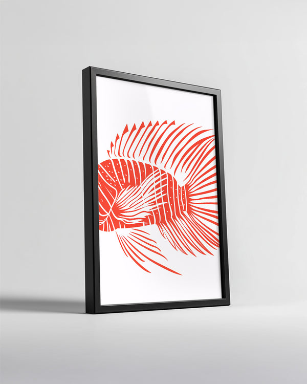 Balık - Kırmızı Yüzgeç Deseni Poster Tablosu