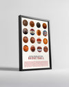 Basketbol Evrimi Poster Tablosu