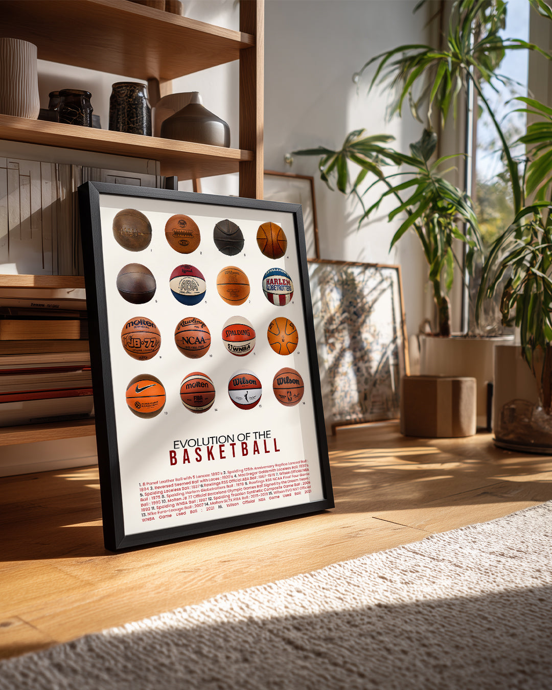 Basketbol Evrimi Poster Tablosu