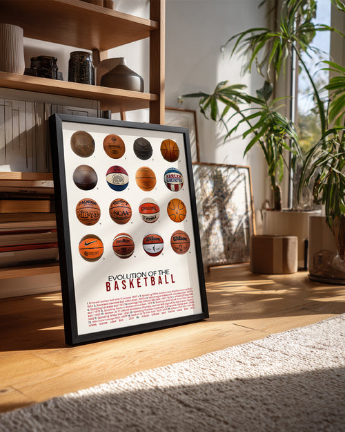 Basketbol Evrimi Poster Tablosu
