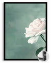 Beyaz Gül - Pastel Yeşil Fon Poster Tablosu
