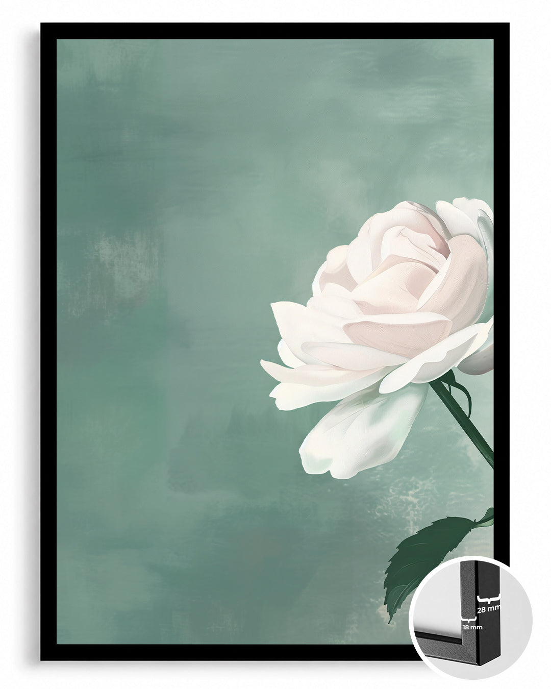 Beyaz Gül - Pastel Yeşil Fon Poster Tablosu
