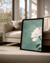 Beyaz Gül - Pastel Yeşil Fon Poster Tablosu