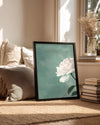Beyaz Gül - Pastel Yeşil Fon Poster Tablosu