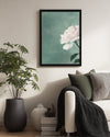 Beyaz Gül - Pastel Yeşil Fon Poster Tablosu