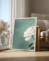 Beyaz Gül - Pastel Yeşil Fon Poster Tablosu