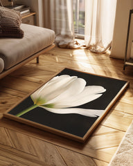 Black Tulip Poster Tablosu