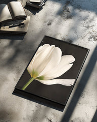 Black Tulip Poster Tablosu