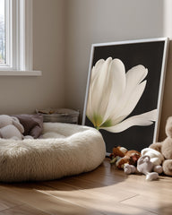 Black Tulip Poster Tablosu