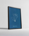 Blue Algae Poster Tablosu