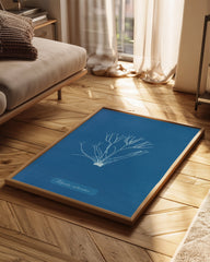 Blue Algae Poster Tablosu