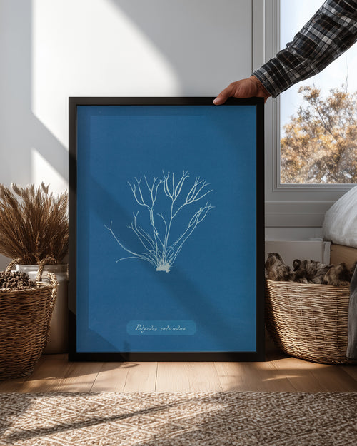 Blue Algae Poster Tablosu