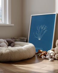 Blue Algae Poster Tablosu