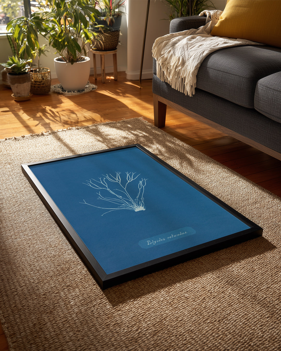 Blue Algae Poster Tablosu