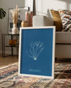 Blue Algae Poster Tablosu