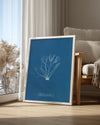 Blue Algae Poster Tablosu