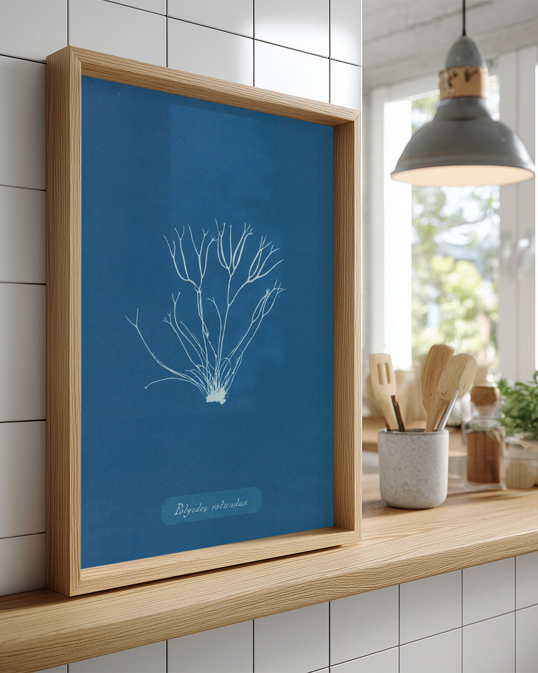 Blue Algae Poster Tablosu