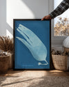 Blue Kelp Poster Tablosu