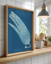Blue Kelp Poster Tablosu