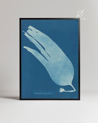 Blue Kelp Poster Tablosu