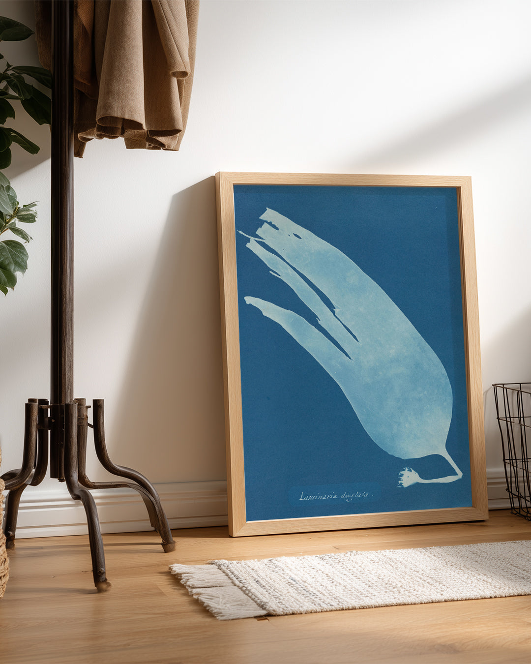 Blue Kelp Poster Tablosu