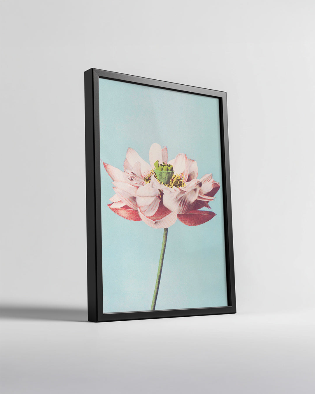 Blue Lotus Poster Tablosu