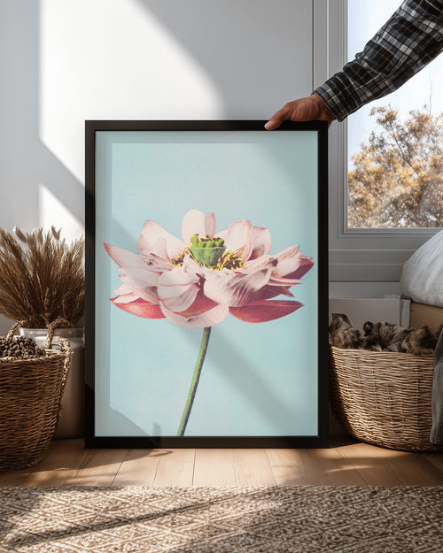 Blue Lotus Poster Tablosu