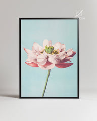 Blue Lotus Poster Tablosu