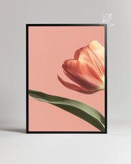Corail Rose Poster Tablosu