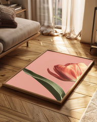 Corail Rose Poster Tablosu