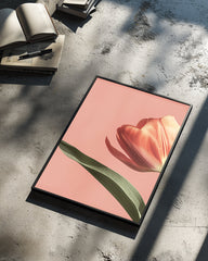 Corail Rose Poster Tablosu